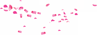 花瓣