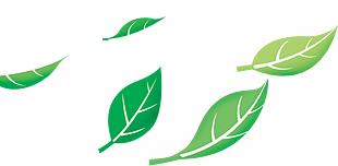 树叶