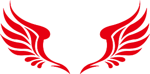 展翅
