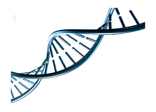 创意DNA高清免抠素材