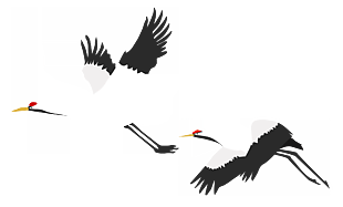白鹤飞舞图片 白鹤飞舞素材 白鹤飞舞模板免费下载 六图网