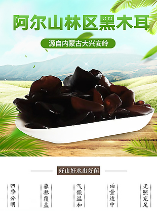 黑木耳（秋耳）详情图