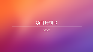 “梦想秀”摄影行业计划书