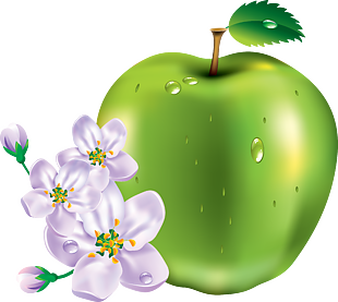 苹果