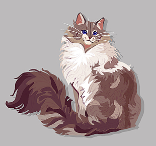 猫