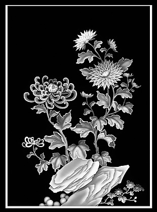 菊花灰度图