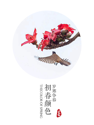 春