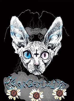 斯芬克斯猫