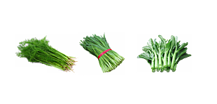 蔬菜