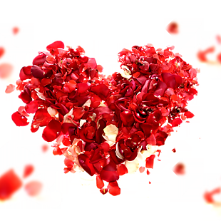 520爱心花瓣装饰素材
