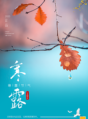 寒露图片