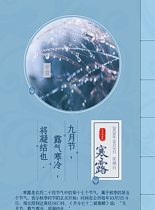 寒露海报图片