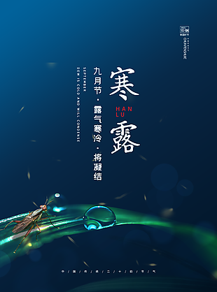 寒露海报图片