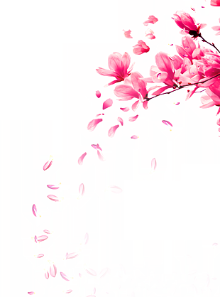 红色兰花