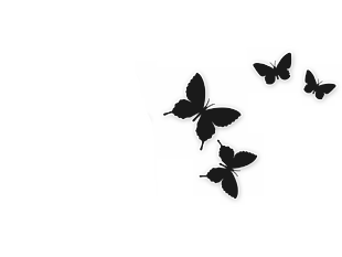 黑色蝴蝶