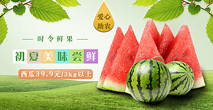 西瓜海报