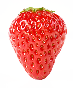 草莓