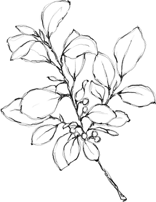 花朵矢量图免扣