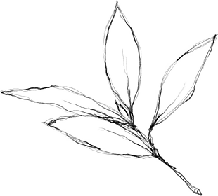 花朵矢量图免扣