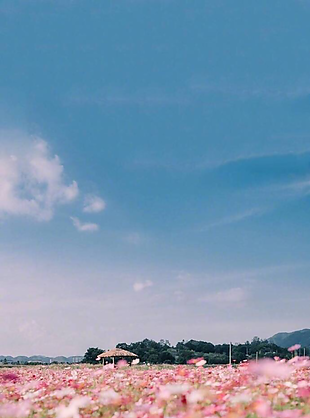 风景 风景画 背景 背景画 画