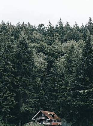 风景 风景画 背景 背景画 画