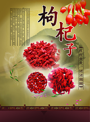 红枸杞广告