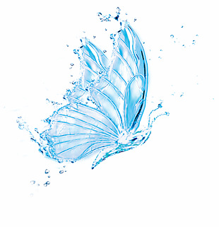 水态蝴蝶
