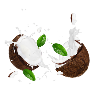 椰子 椰子精华