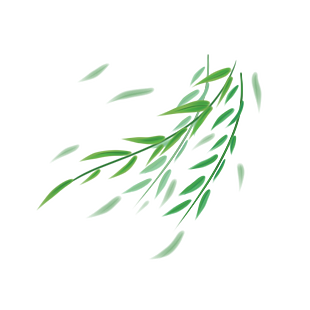 柳叶
