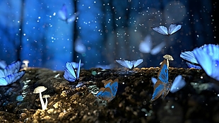 大气唯美蓝色粒子斑点蝴蝶效果背景视频