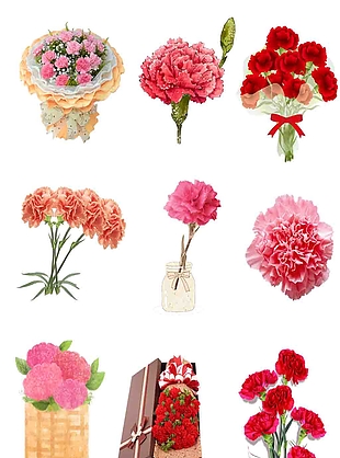 鲜花康乃馨 母亲节元素