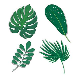 绿色植物 元素