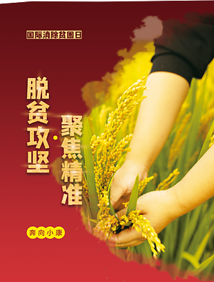 脱贫攻坚党建图片