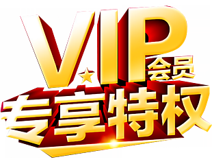 VIP 特权 会员 大气