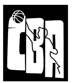 CBA 篮球效果