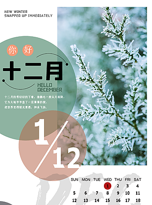 十二月你好