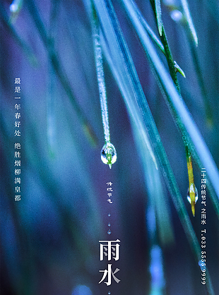 二十四节气海报雨水