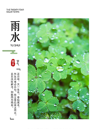 绿色清新雨水海报设计