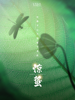 惊蛰24节气海报图片