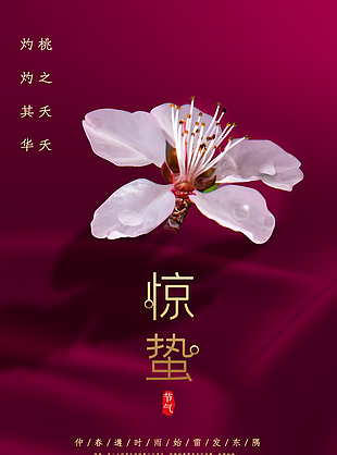 创意二十四惊蛰海报设计