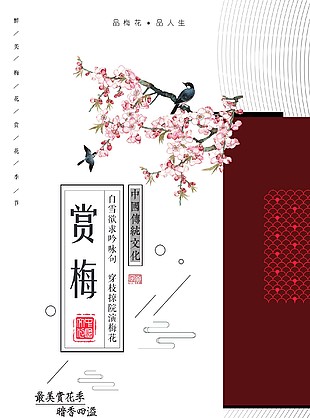 中国传统文化赏梅