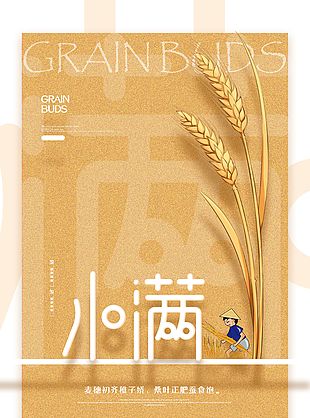 简约小满节气海报