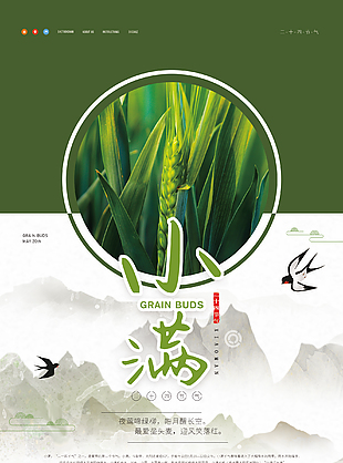 小满极简绿色海报