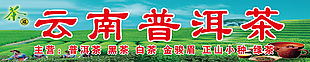 普洱茶店招