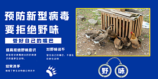 预防新型病毒拒绝野味