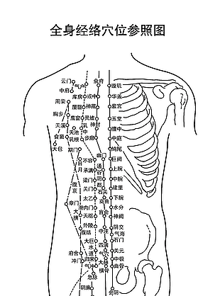经络图片
