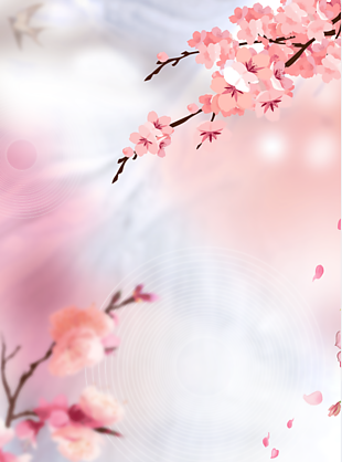 粉红色樱花中国风背景