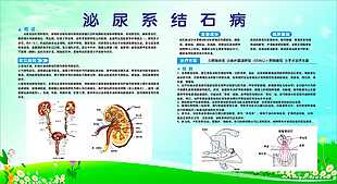 结石病科普海报