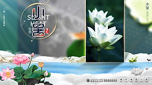 节气小暑图片