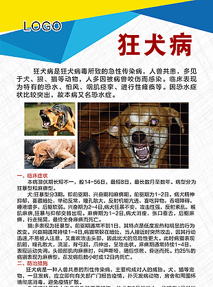 狂犬病公益宣传单设计